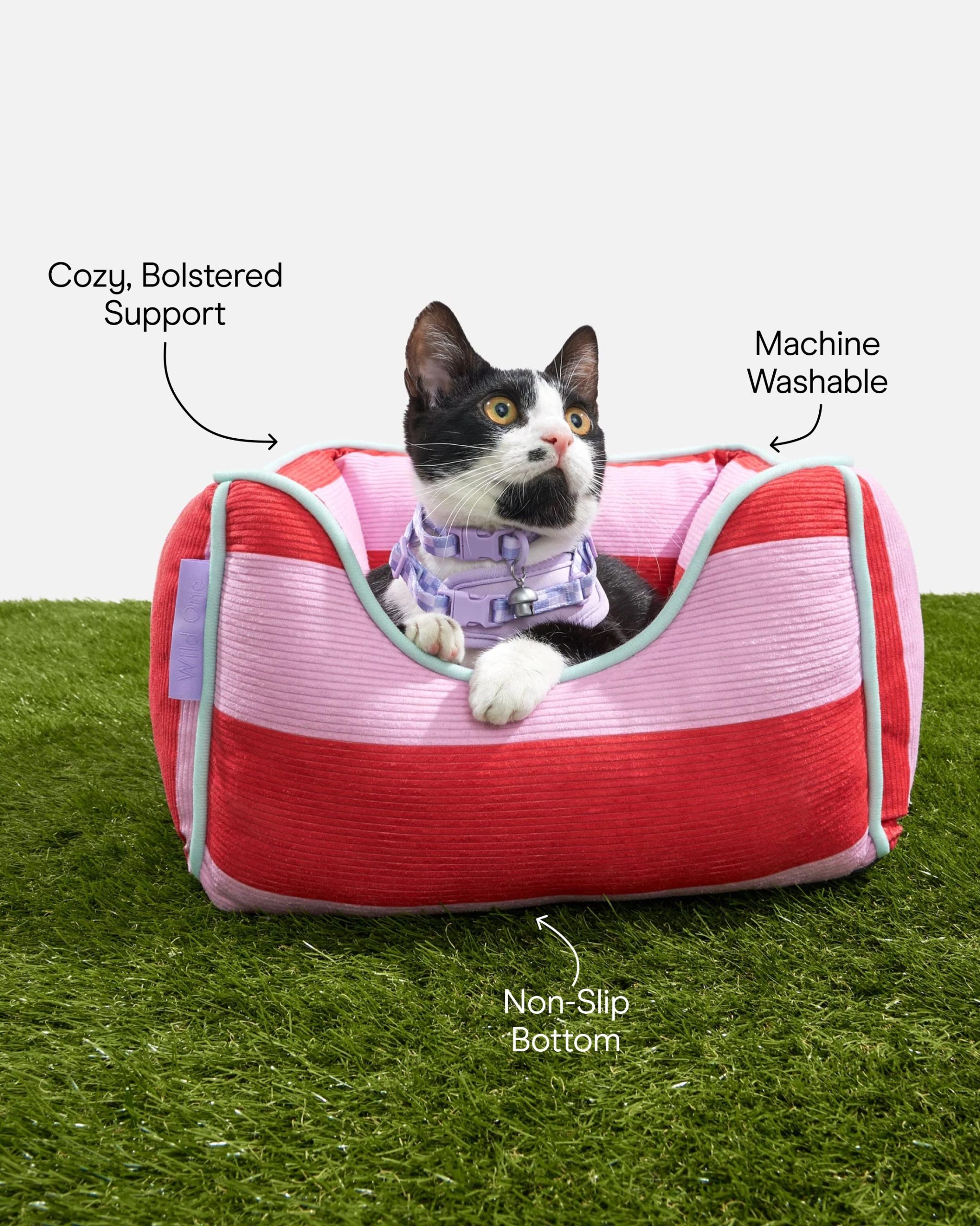 WO_Infographic_CatBolsterBed.jpg