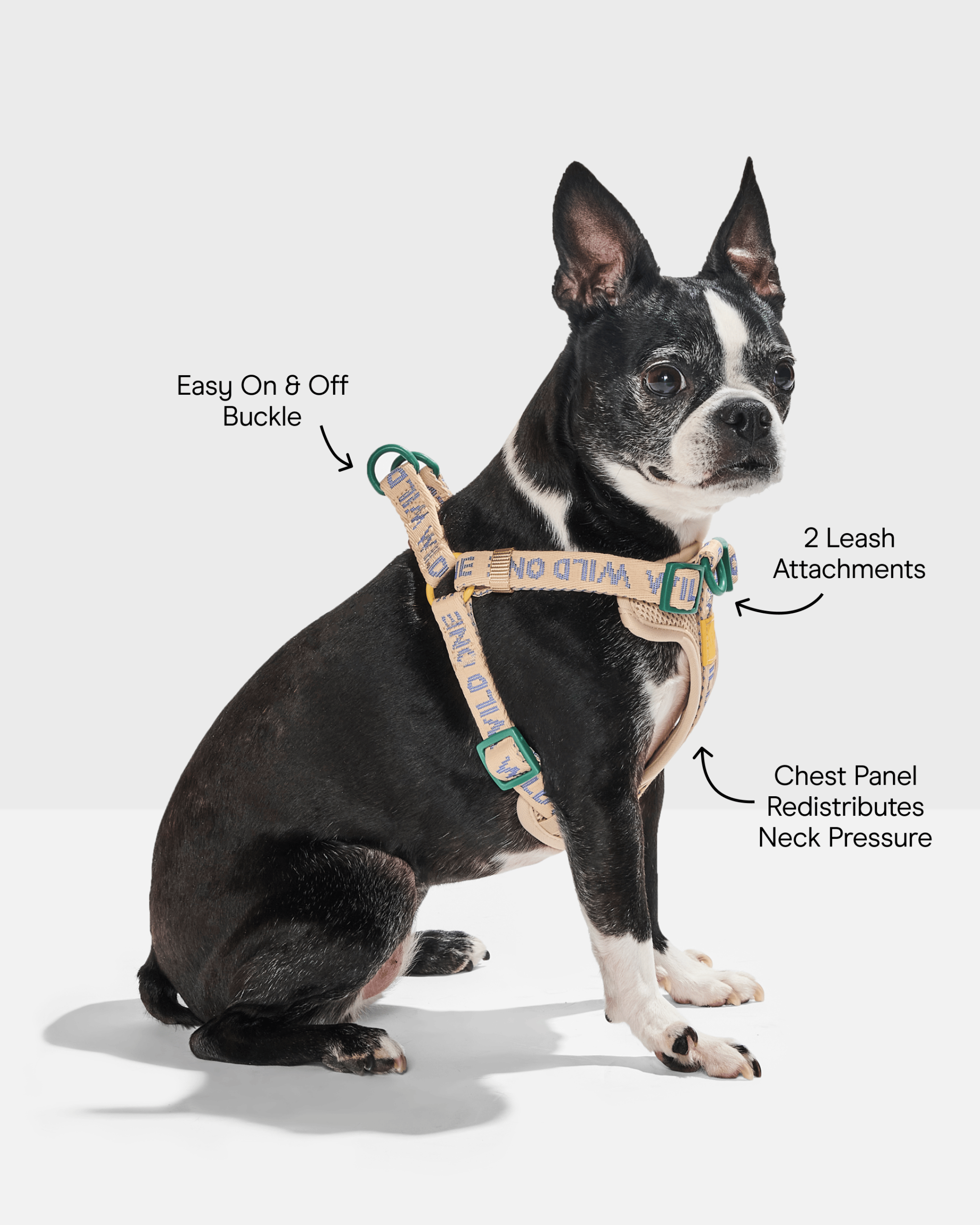 WO_Infographic_StepInHarness_Retro.png