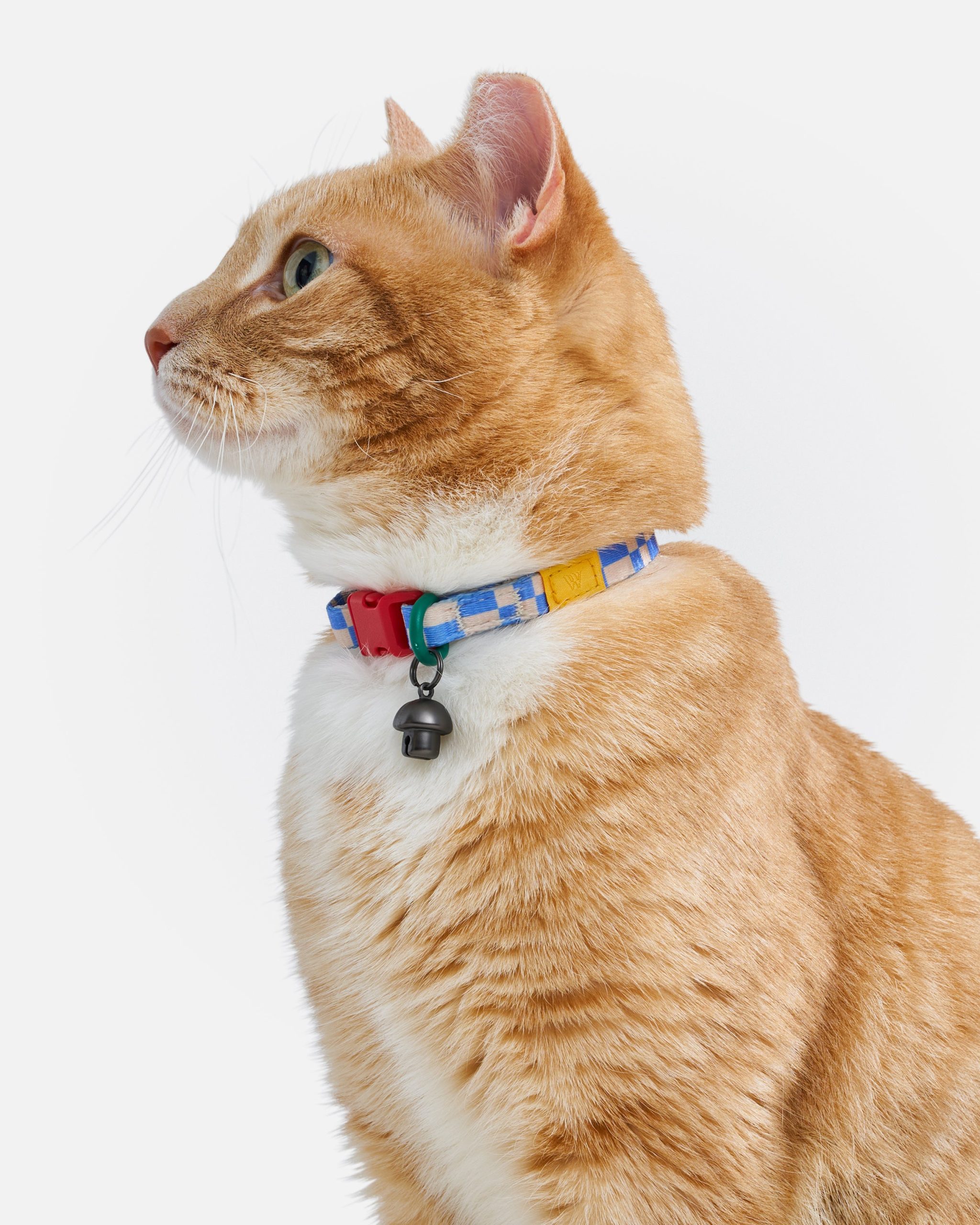 WO_VM_Cat_BreakawayCollar_Retro_OnCat_PDP_01_4x5_Web.jpg