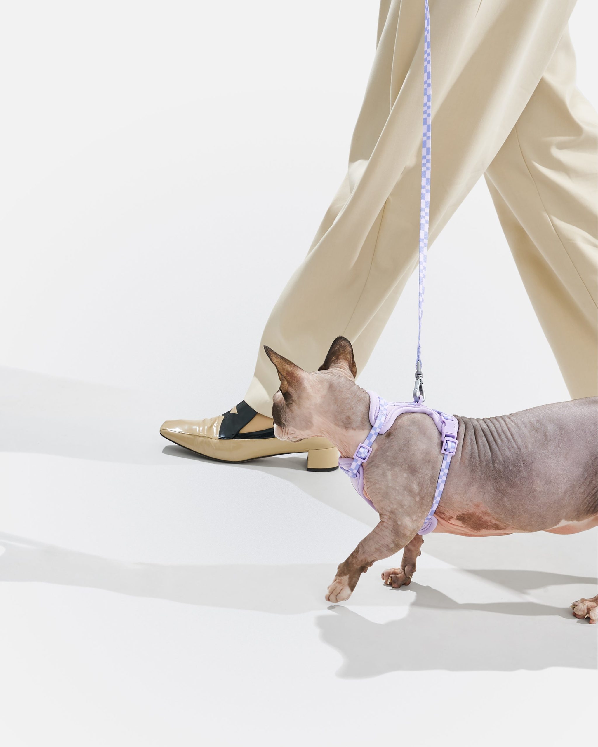 WO_VM_Cat_HarnessWalkKit_Lilac_OnCat_PDP_03_4x5_Web.jpg
