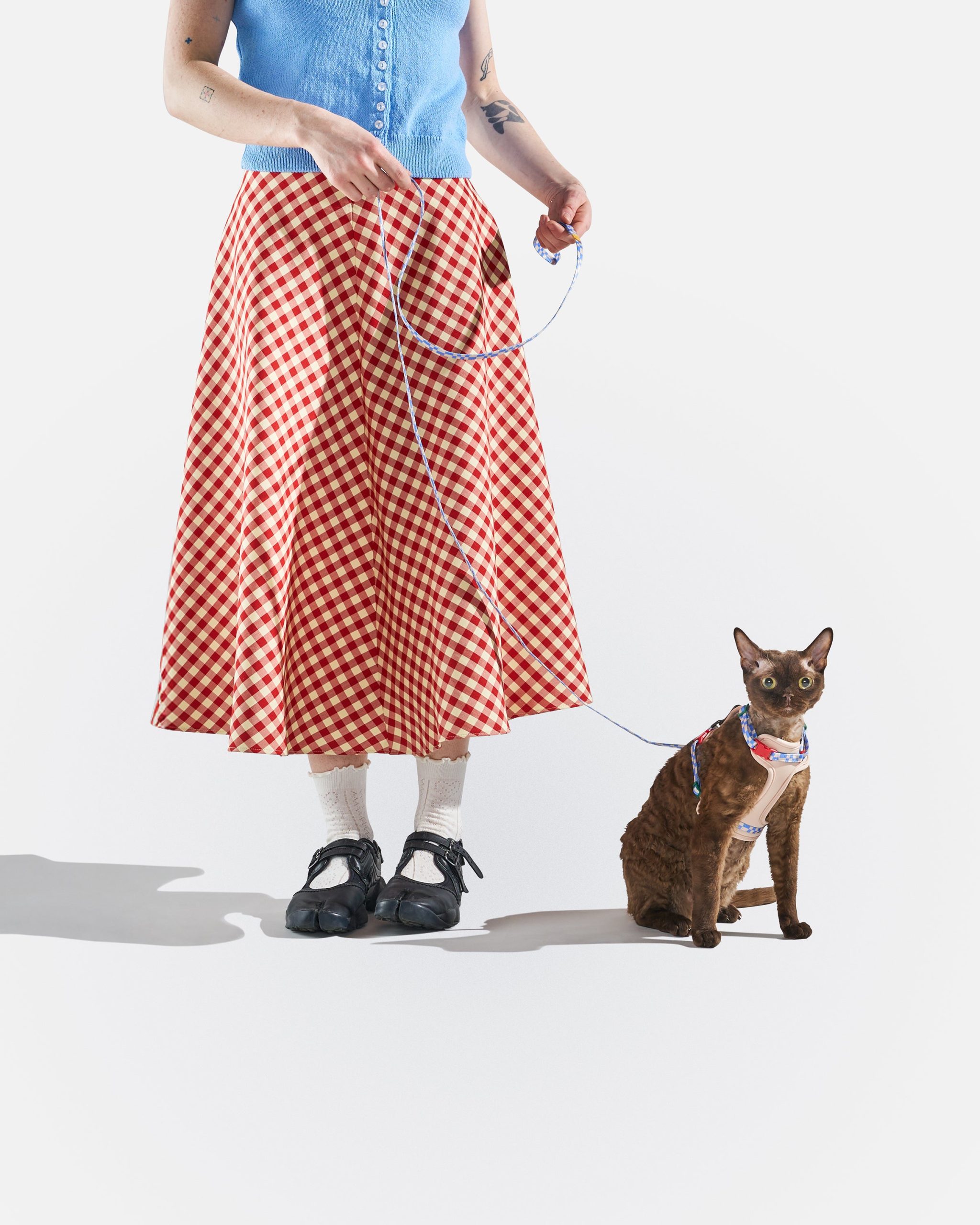 WO_VM_Cat_HarnessWalkKit_Retro_OnCat_PDP_04_4x5_Web.jpg