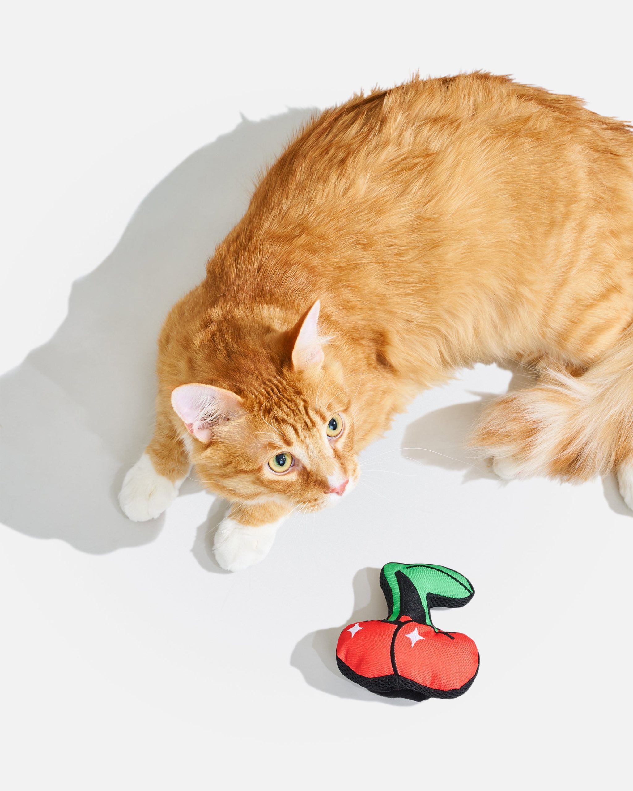 WO_VM_Cat_PlayfulPlush_Cherry_OnCat_PDP_01_4x5_Web.jpg