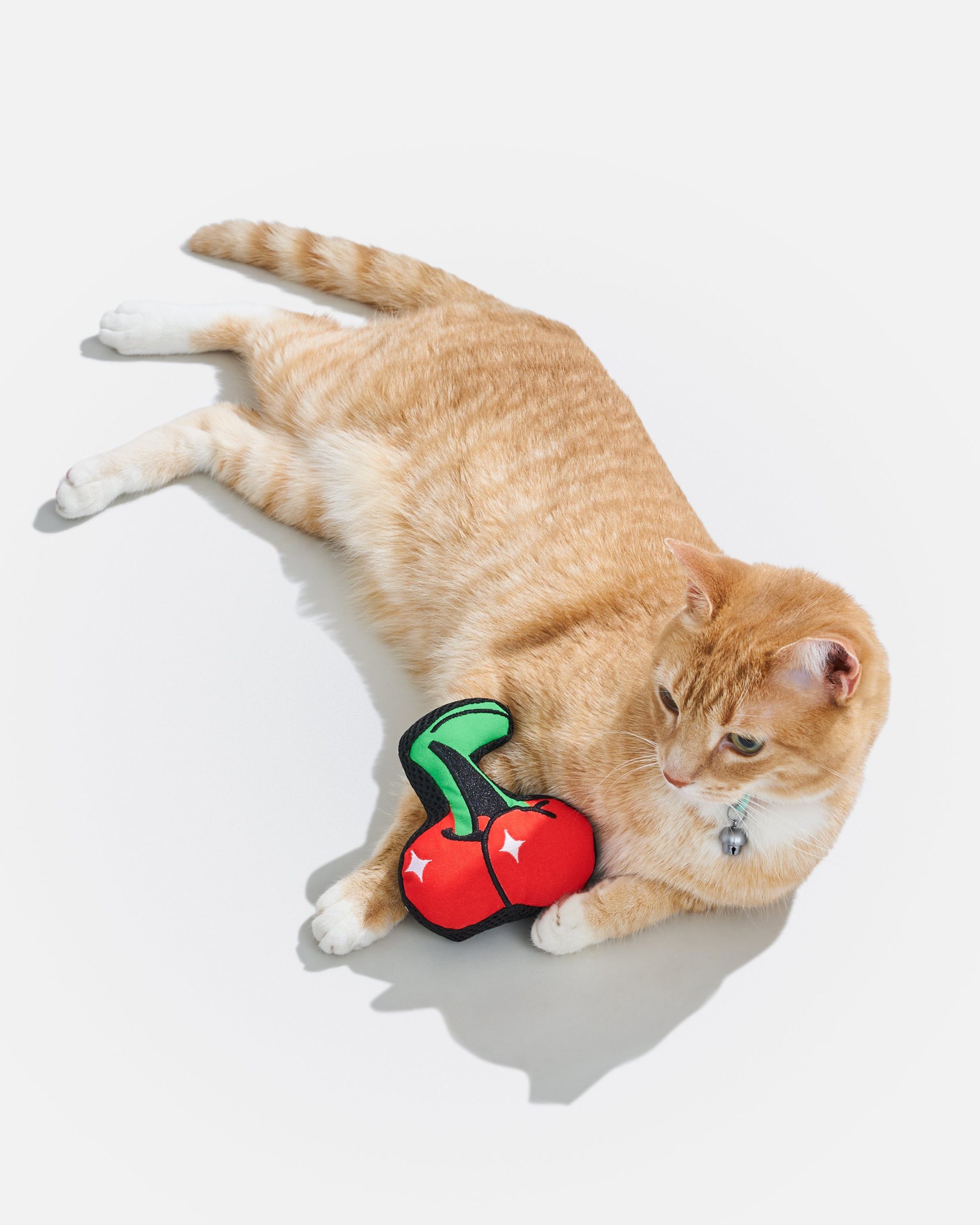 WO_VM_Cat_PlayfulPlush_Cherry_OnCat_PDP_03_4x5_Web.jpg