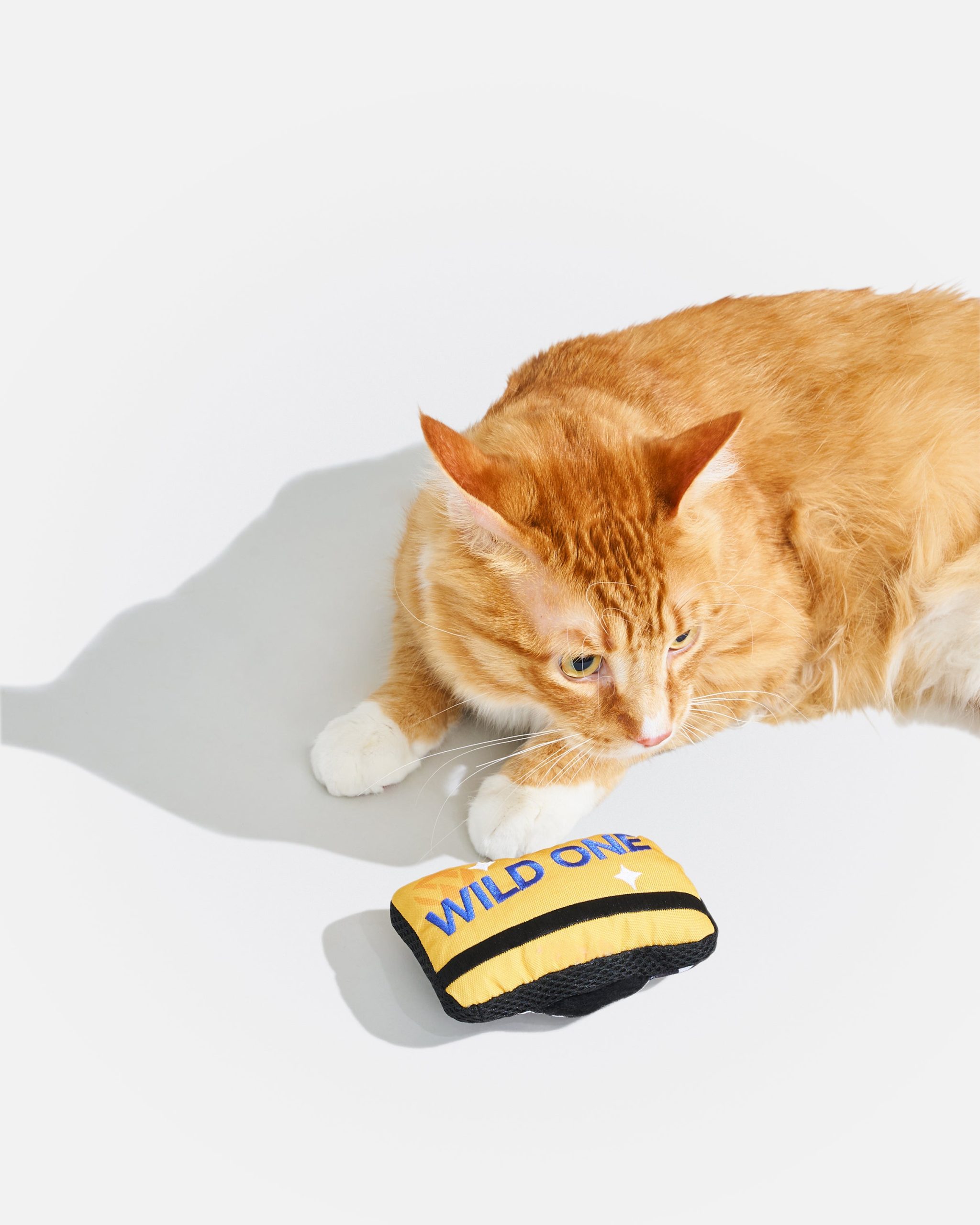 WO_VM_Cat_PlayfulPlush_MTA_OnCat_PDP_01_4x5_Web.jpg