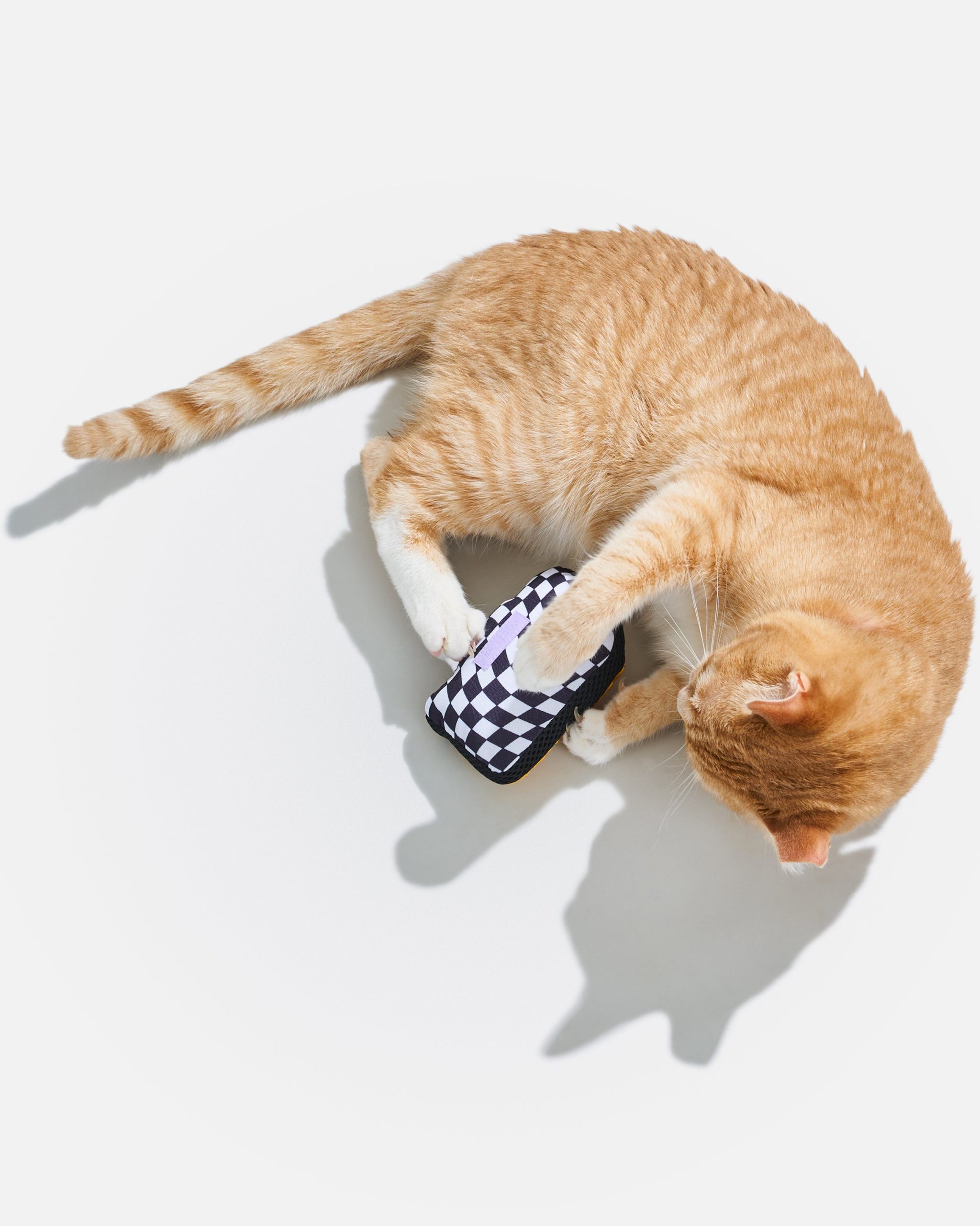WO_VM_Cat_PlayfulPlush_MTA_OnCat_PDP_03_4x5_Web.jpg