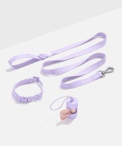 Quick-Release Collar + Lightweight Leash Walk Kit