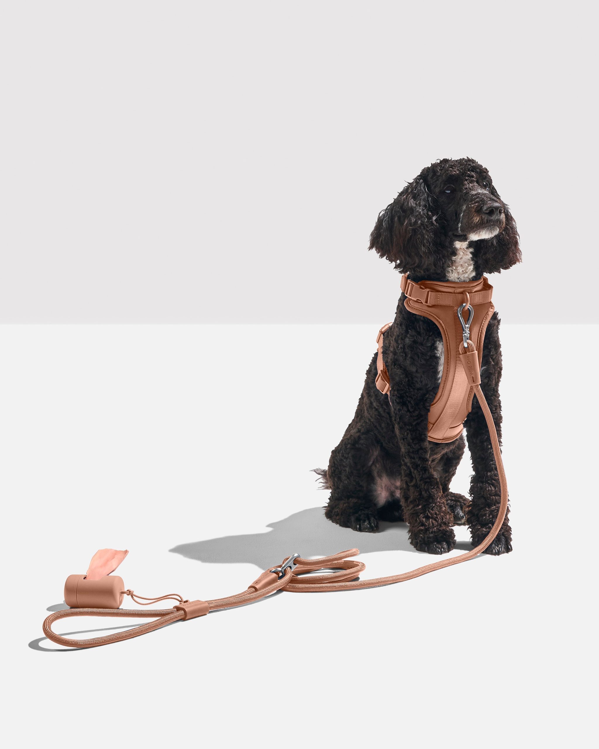 WO_VM_RopeLeash_WalkKitHarness_Cocoa_OnDog_PDP_02_4x5_Web.jpg