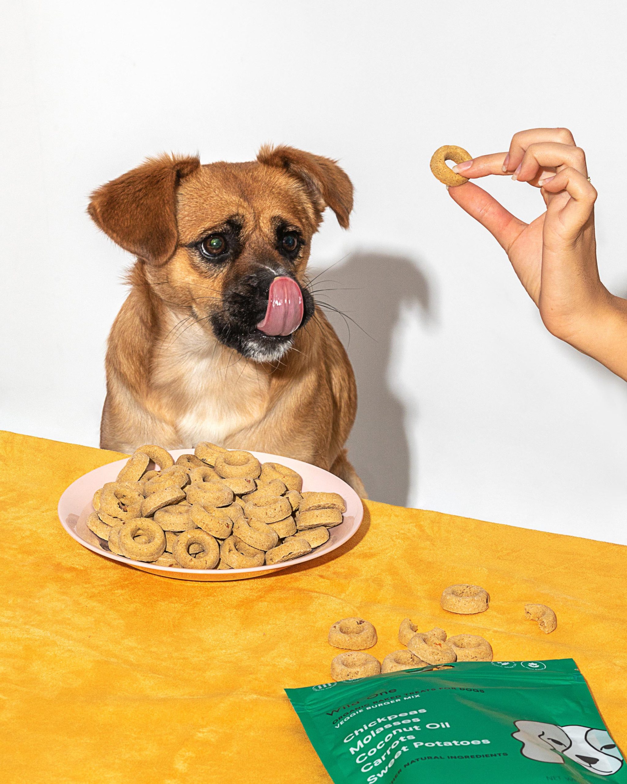 WO_VM_Studio_PDP_Treats_VeggieBurger_Dog_01_Web_EDITED_79cc0867-e81c-4af9-a2ca-9ecf460f86bf.jpg