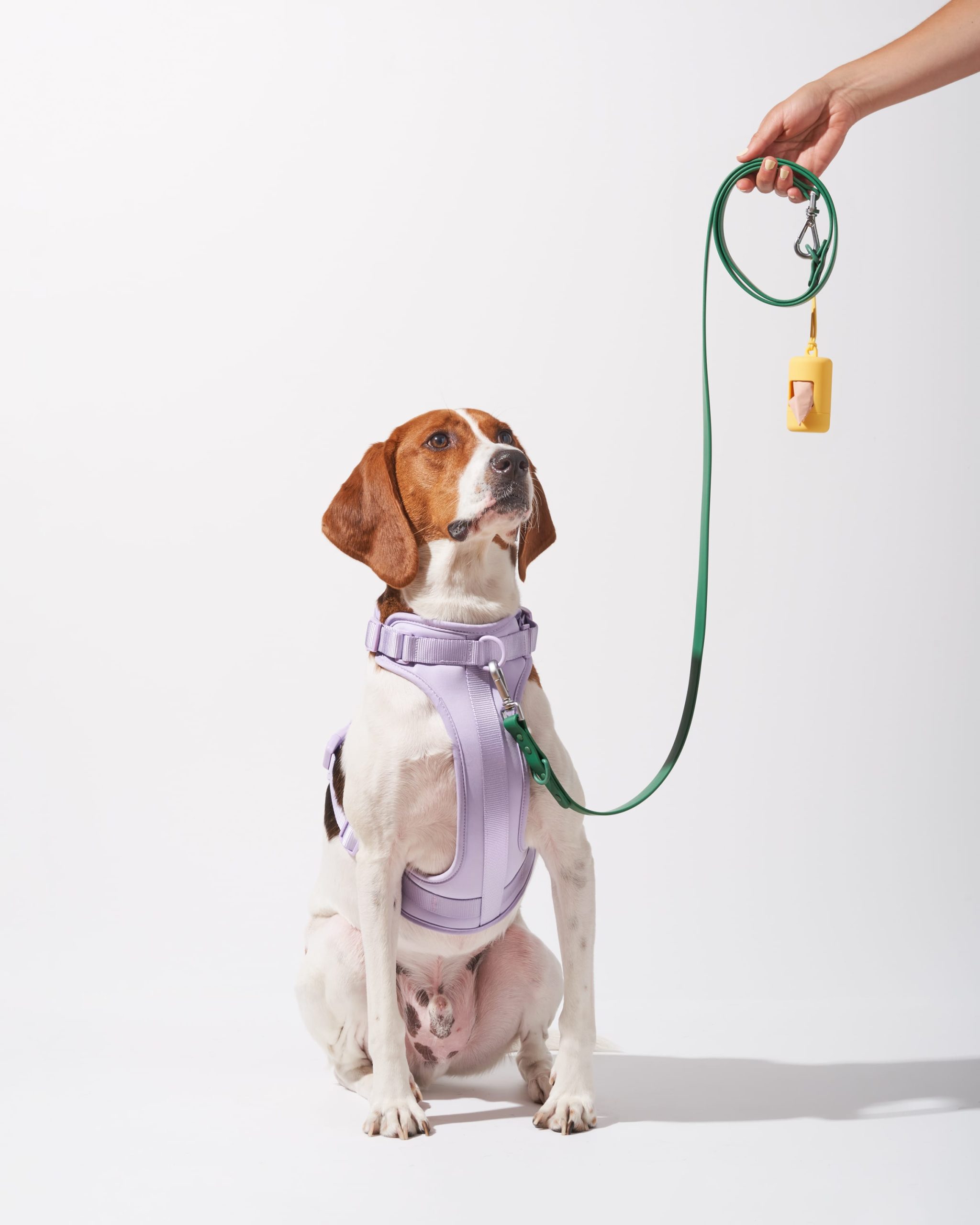 WO_VM_Studio_WalkKitHarness_MixandMatch_Dog_01_4x5_Web.jpg