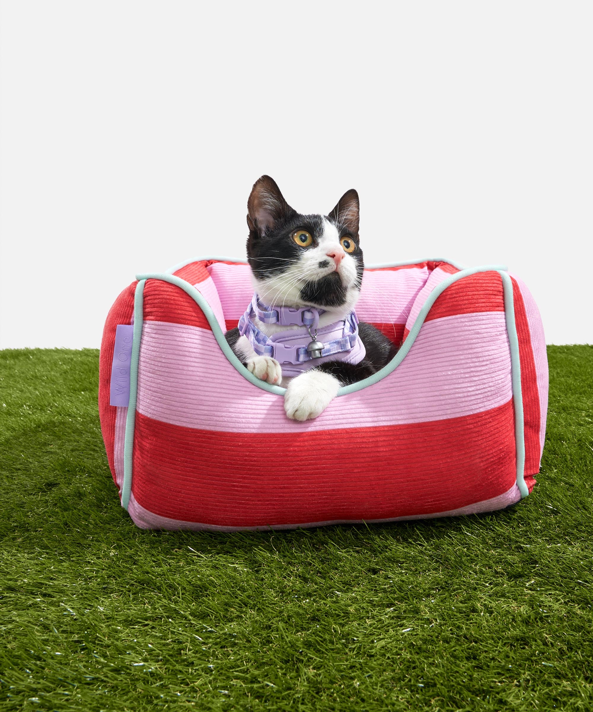 wo_pdp_cat-bolster-bed_campaign_01.jpg